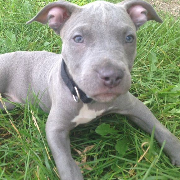 Meet your Posher, Tania - Picture 8 of 16